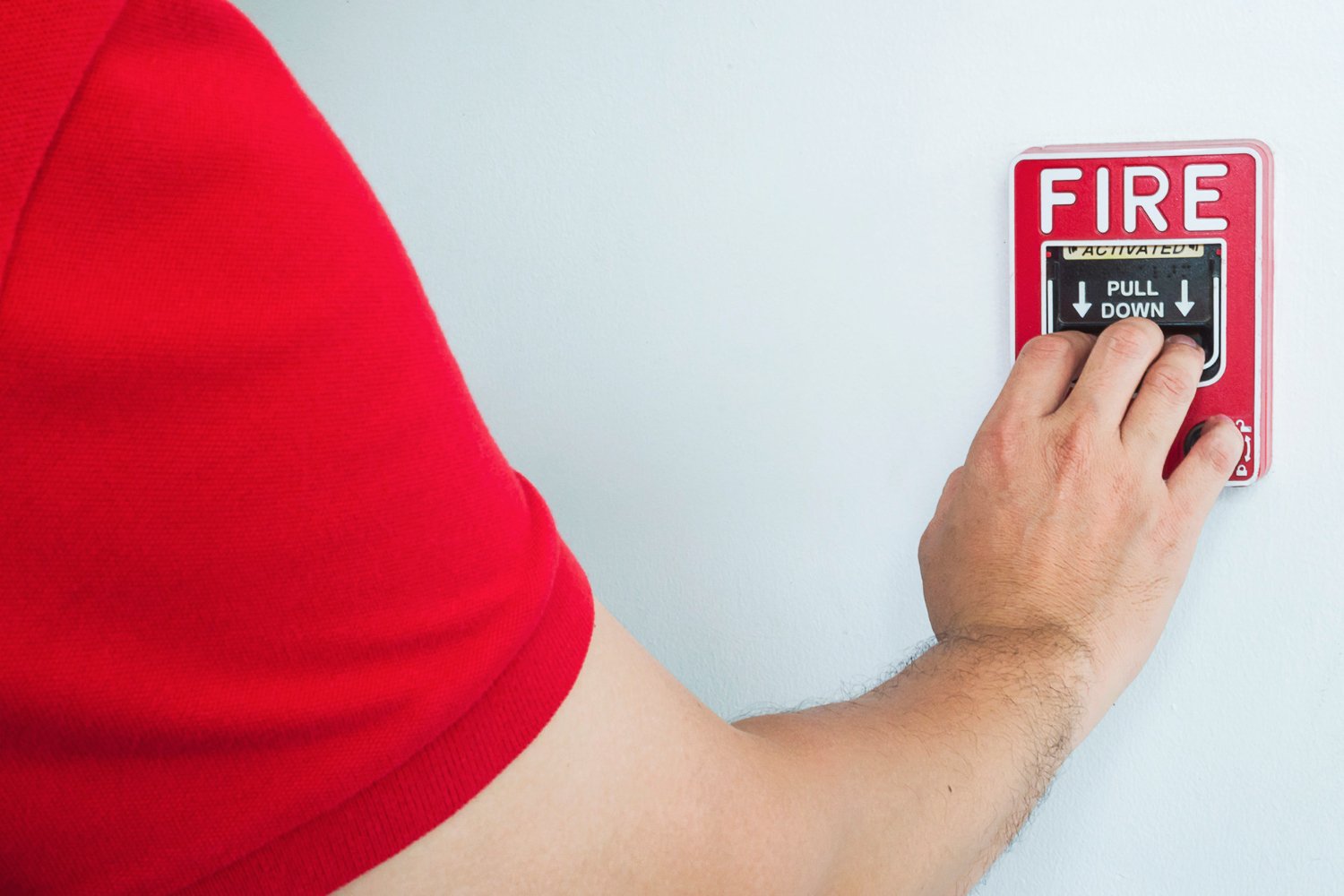 Security services: Fire & Life Safety System